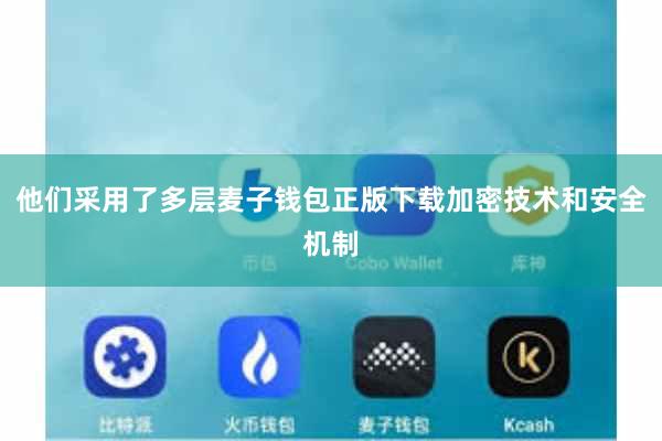 他们采用了多层麦子钱包正版下载加密技术和安全机制