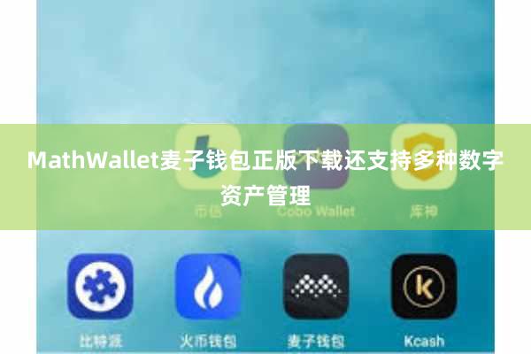 MathWallet麦子钱包正版下载还支持多种数字资产管理