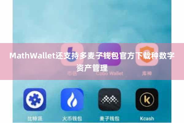 MathWallet还支持多麦子钱包官方下载种数字资产管理